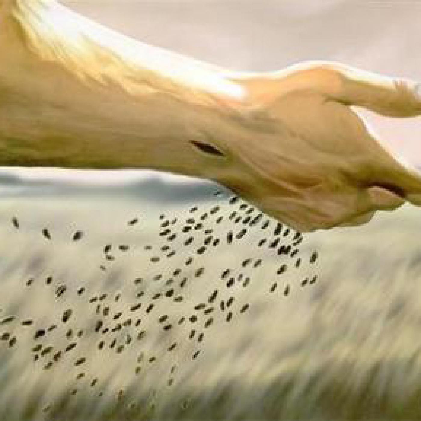 Solo Buenas Noticias del Mundo