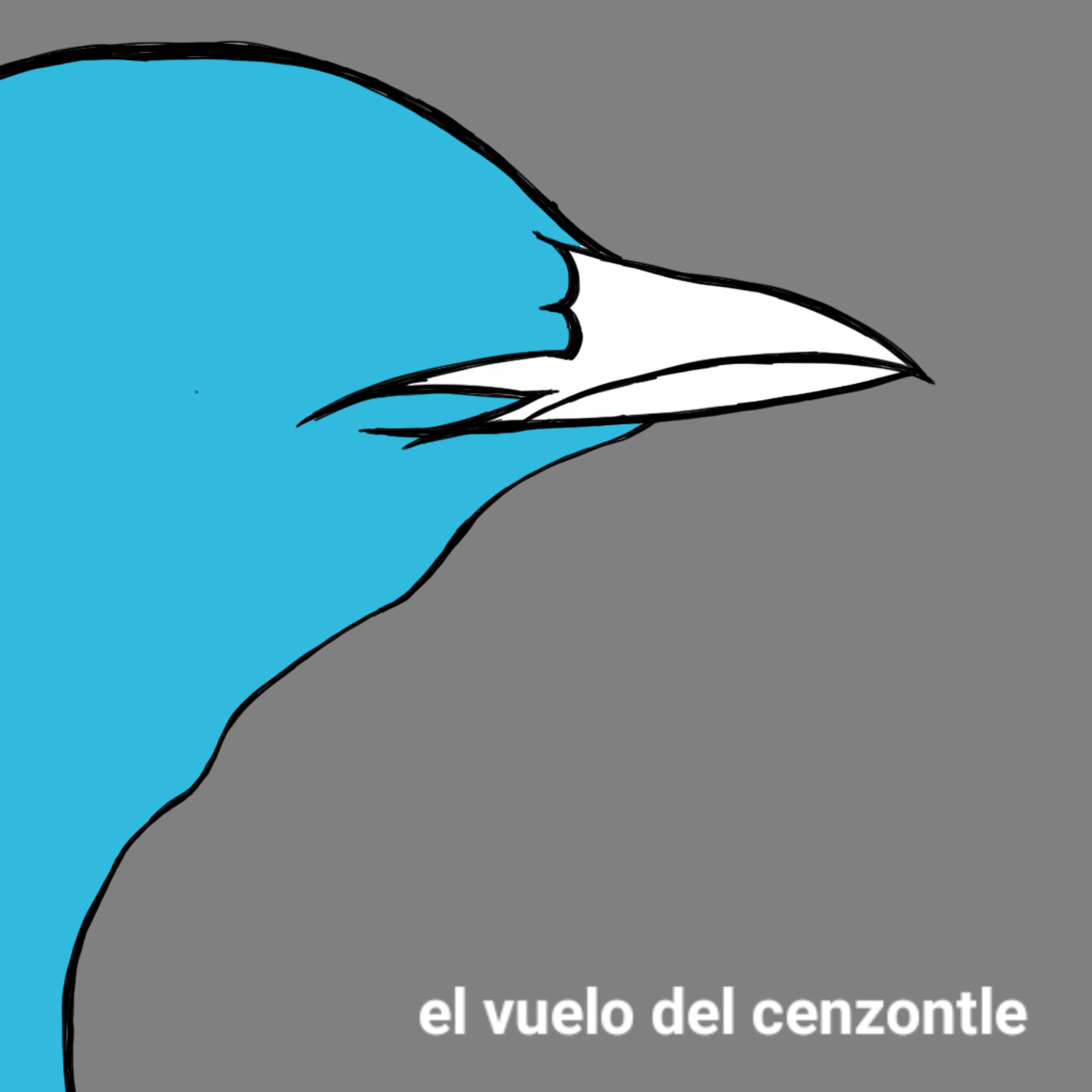 El Vuelo del Cenzontle