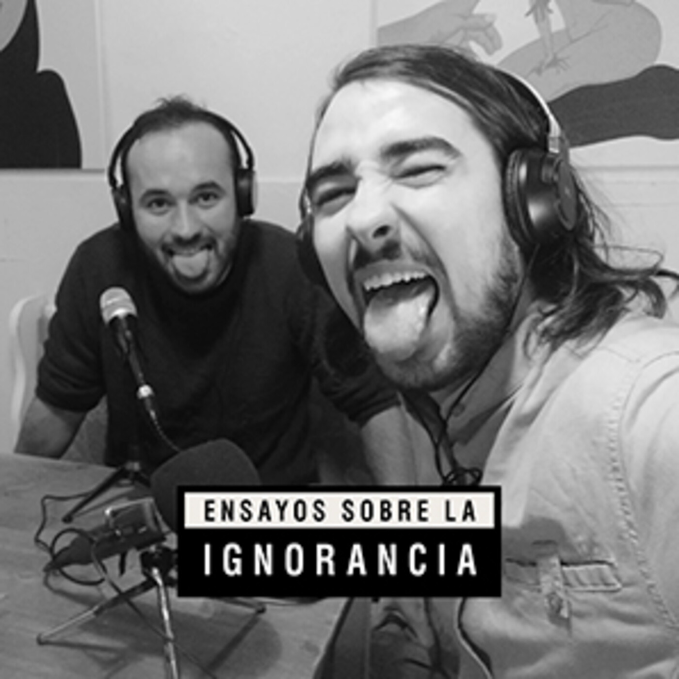 Ensayos sobre la ignorancia