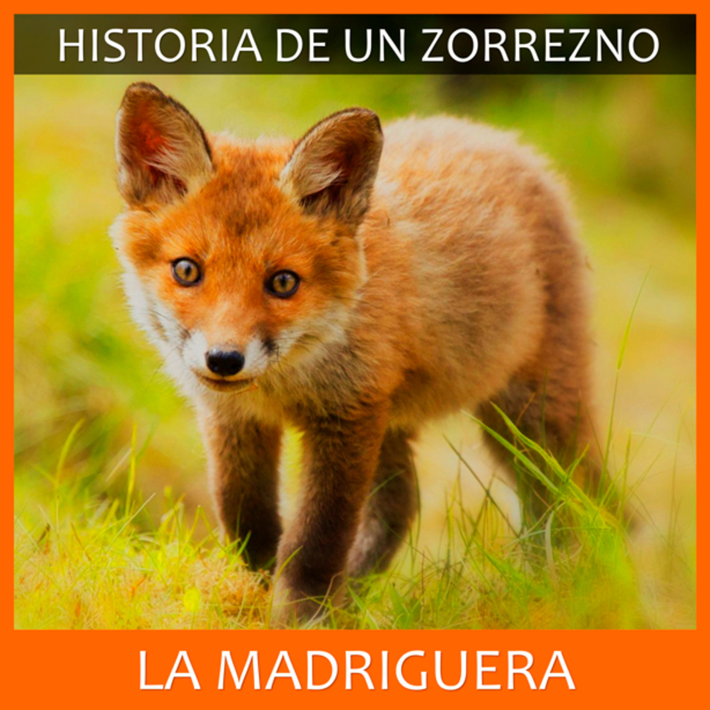 LA MADRIGUERA