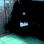 No.19 - El gato sin ojos. #creepypasta