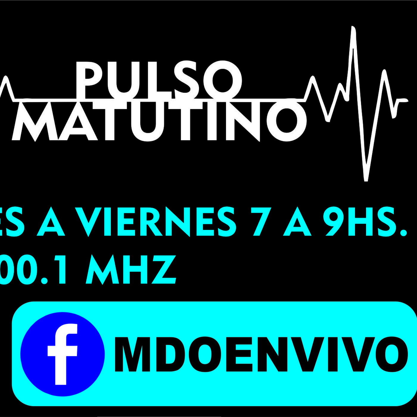 PULSO MATUTINO