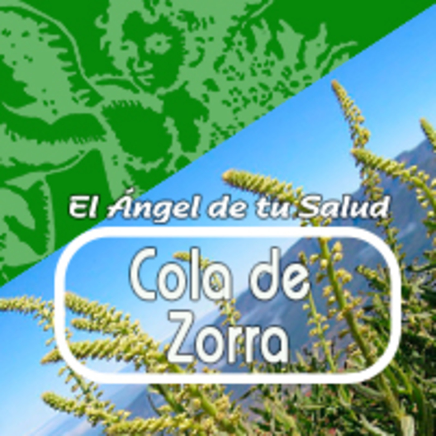 El Angel de tu Salud - COLA DE ZORRA**