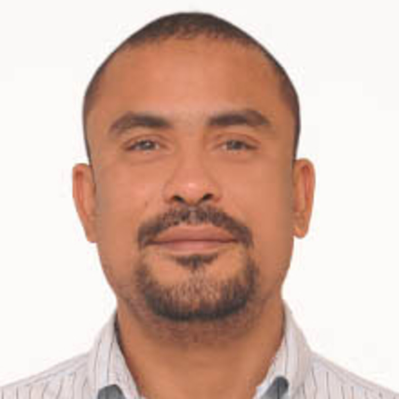 ElDigital