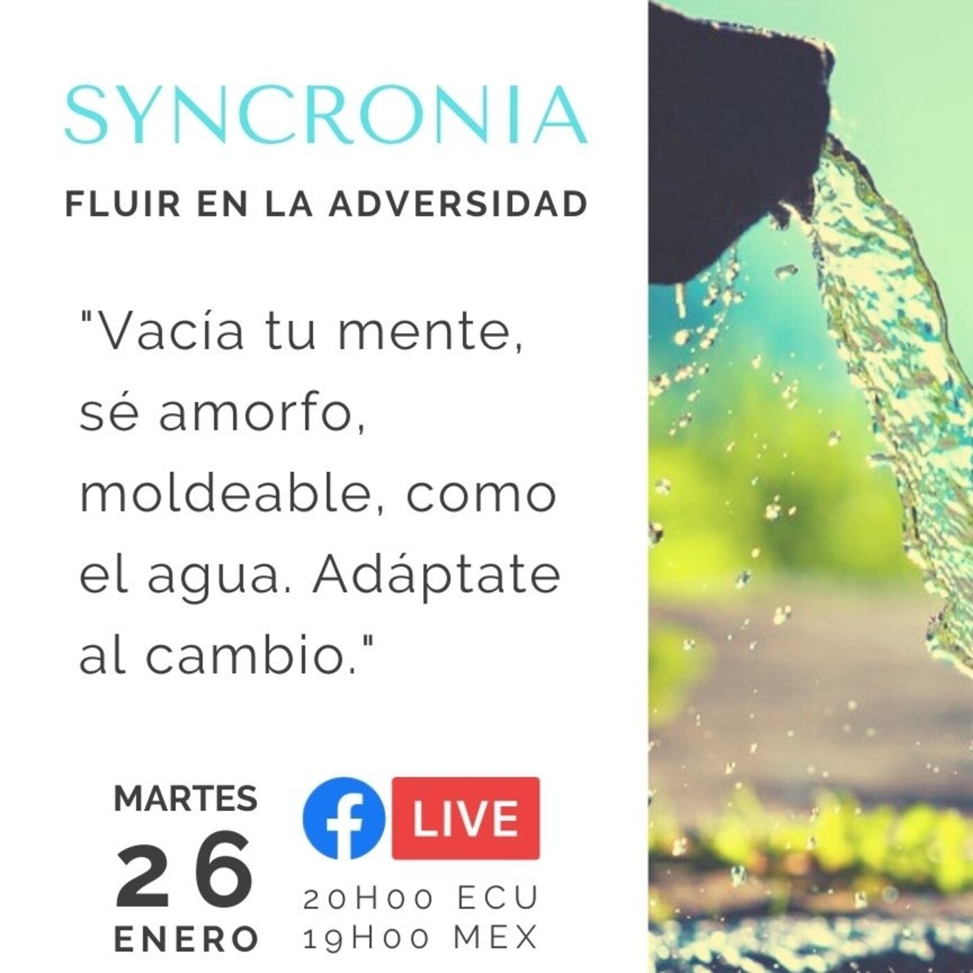 Charlas Syncronia