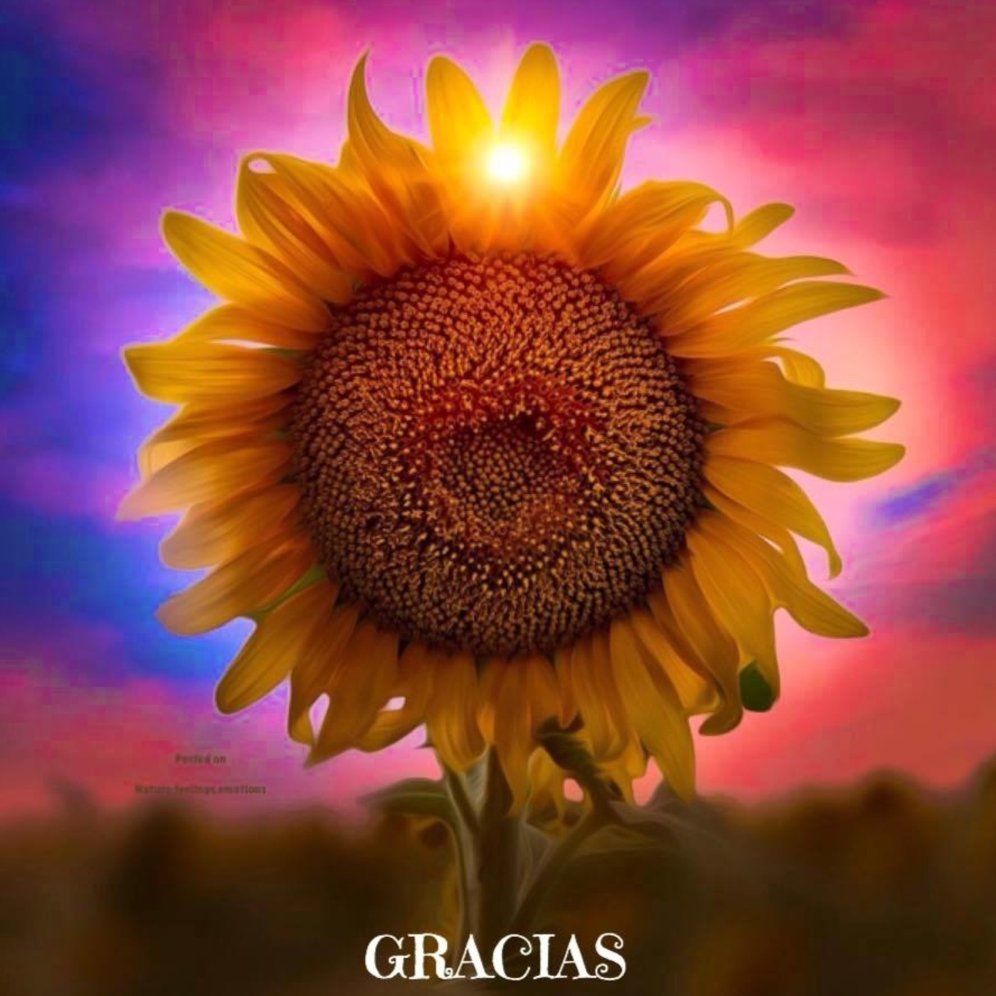 Entrenamiento mental con UCDM. Lección 59 episode artwork