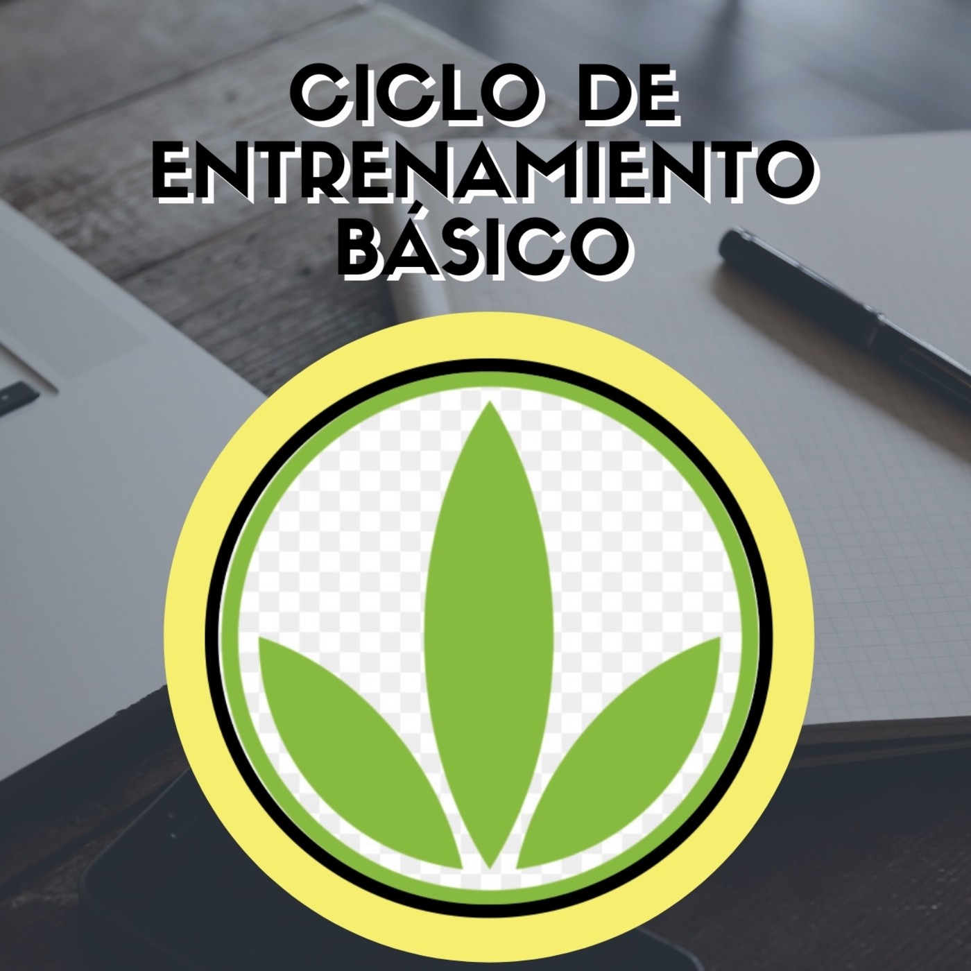 HBL DE LOS PROFESIONALES