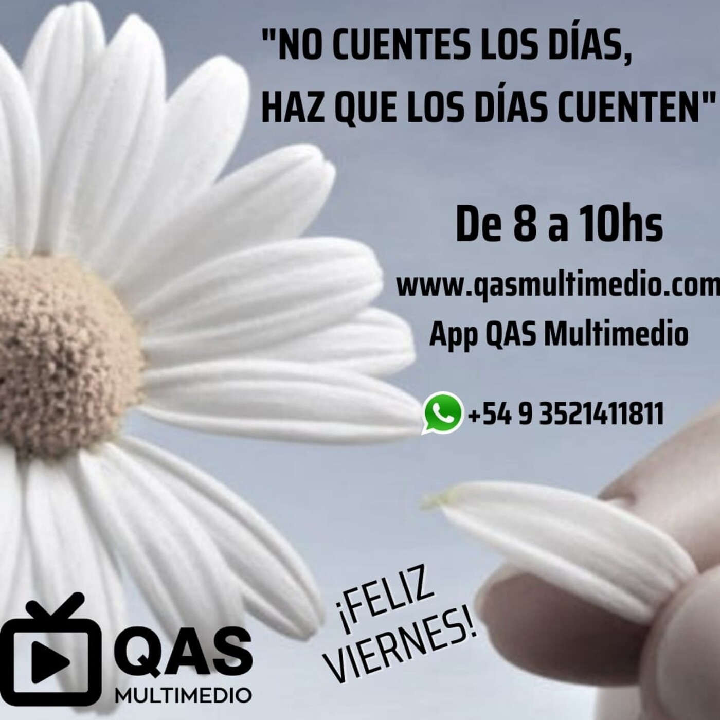 De 8 a 10