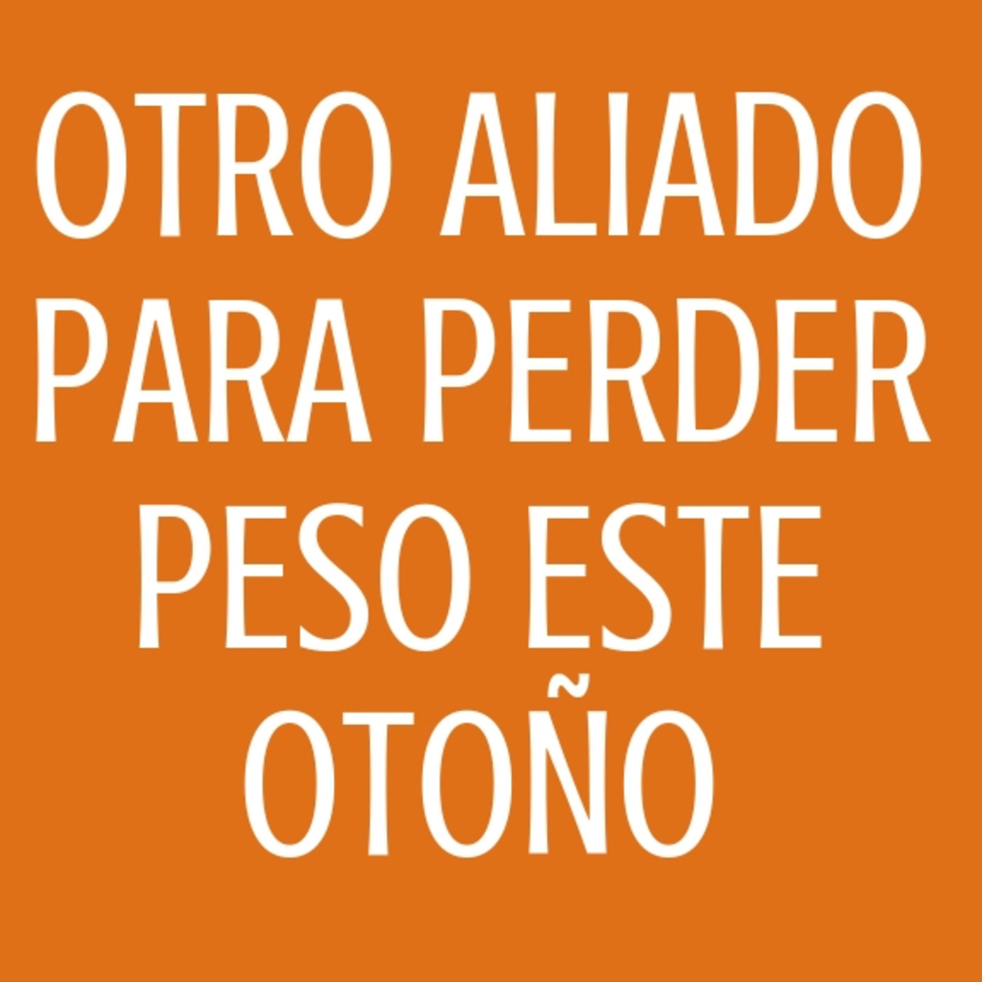 Mis dietas para adelgazar