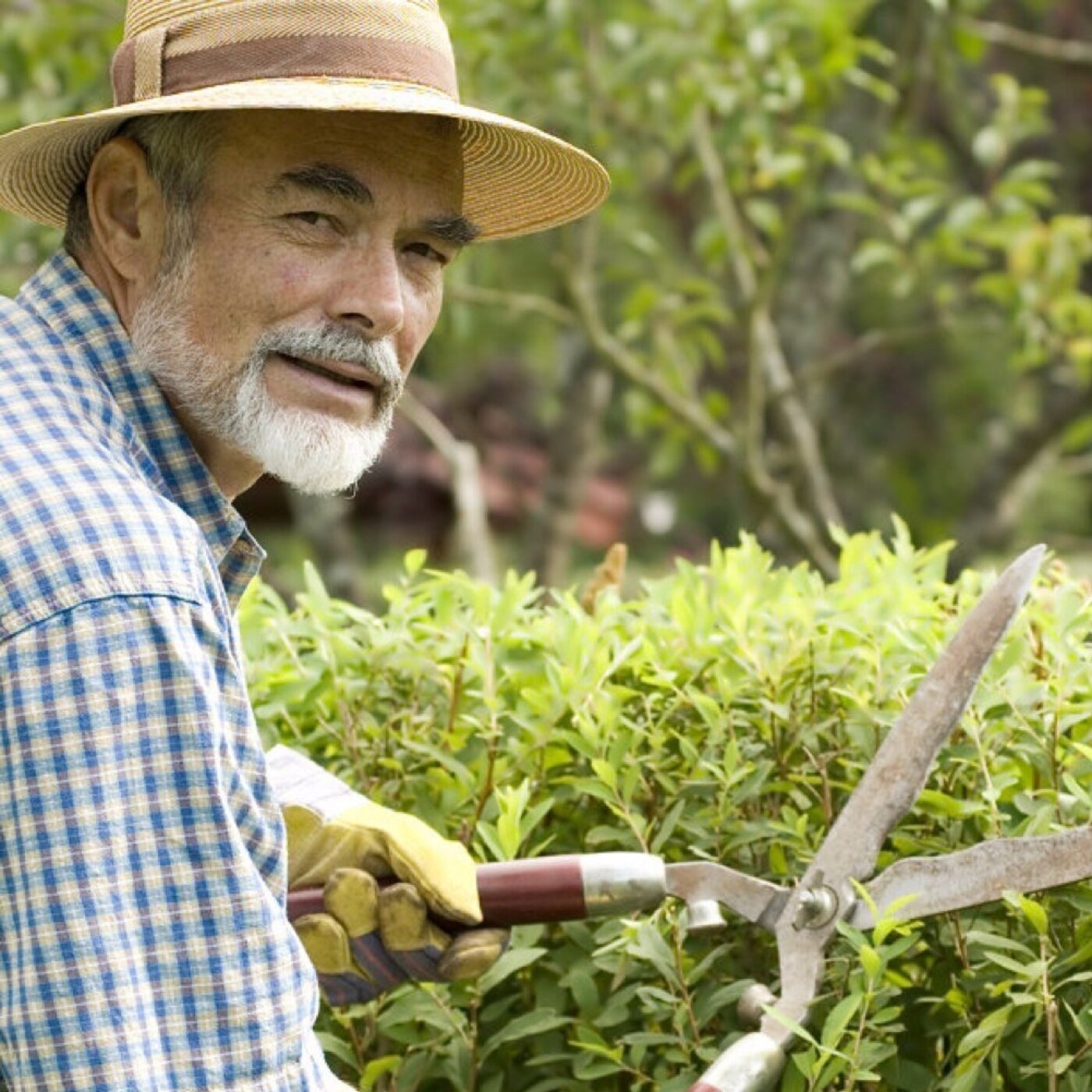 Cuentos Que Te Acarician