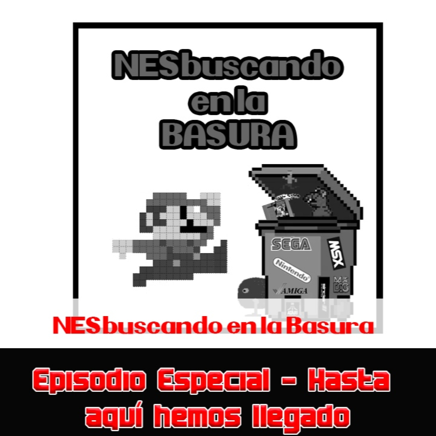 NESbuscando en la Basura