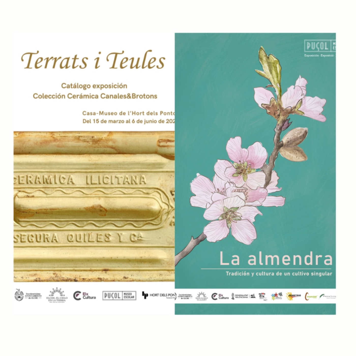 "La almendra fue y sigue siendo un cultivo importante en el camp d´Elx que nos lleva a las tradiciones del pasado". episode artwork