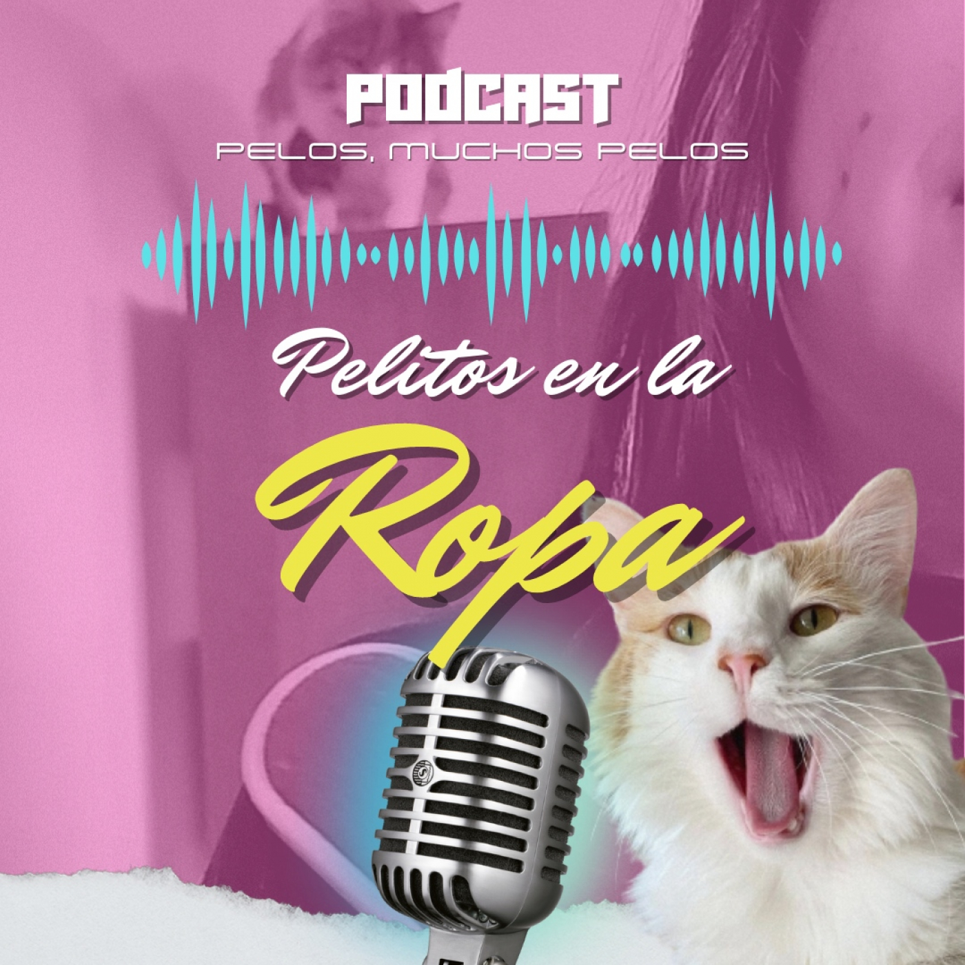 PELR: Pelitos en la Ropa