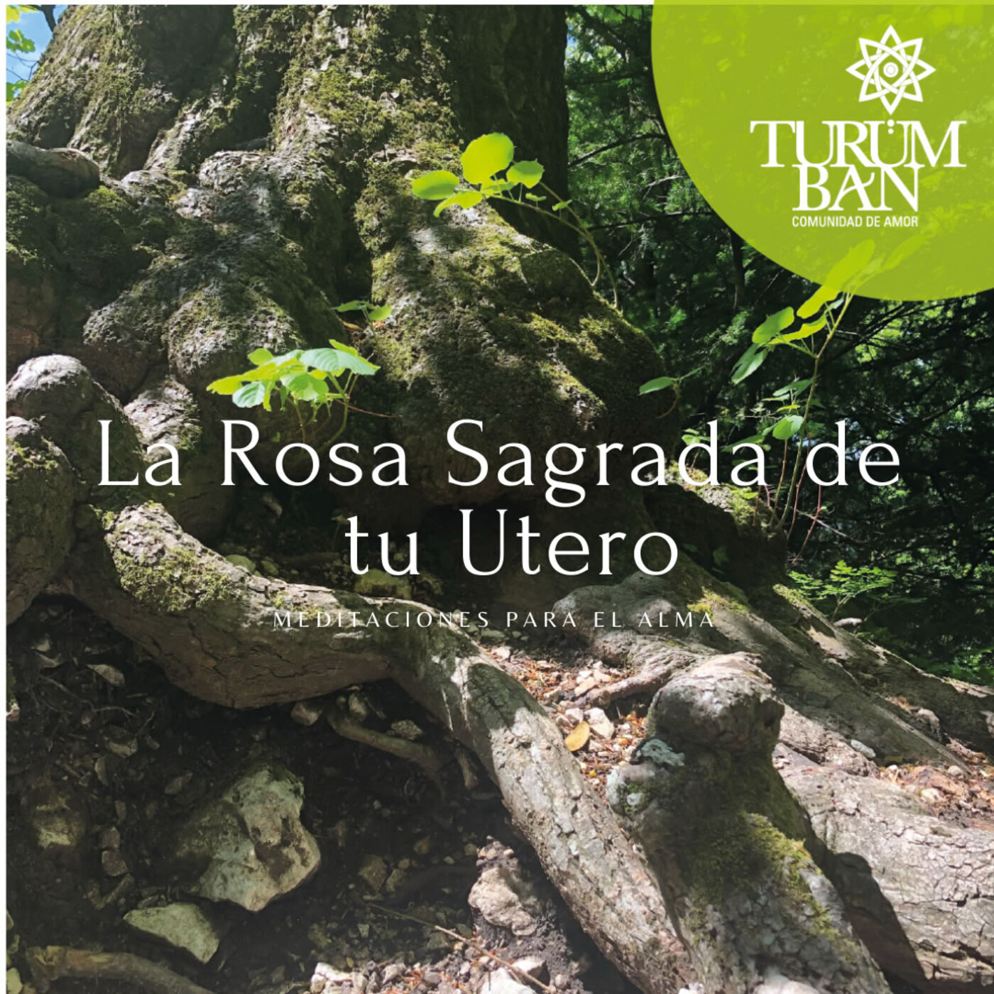 Meditaciones para el Alma