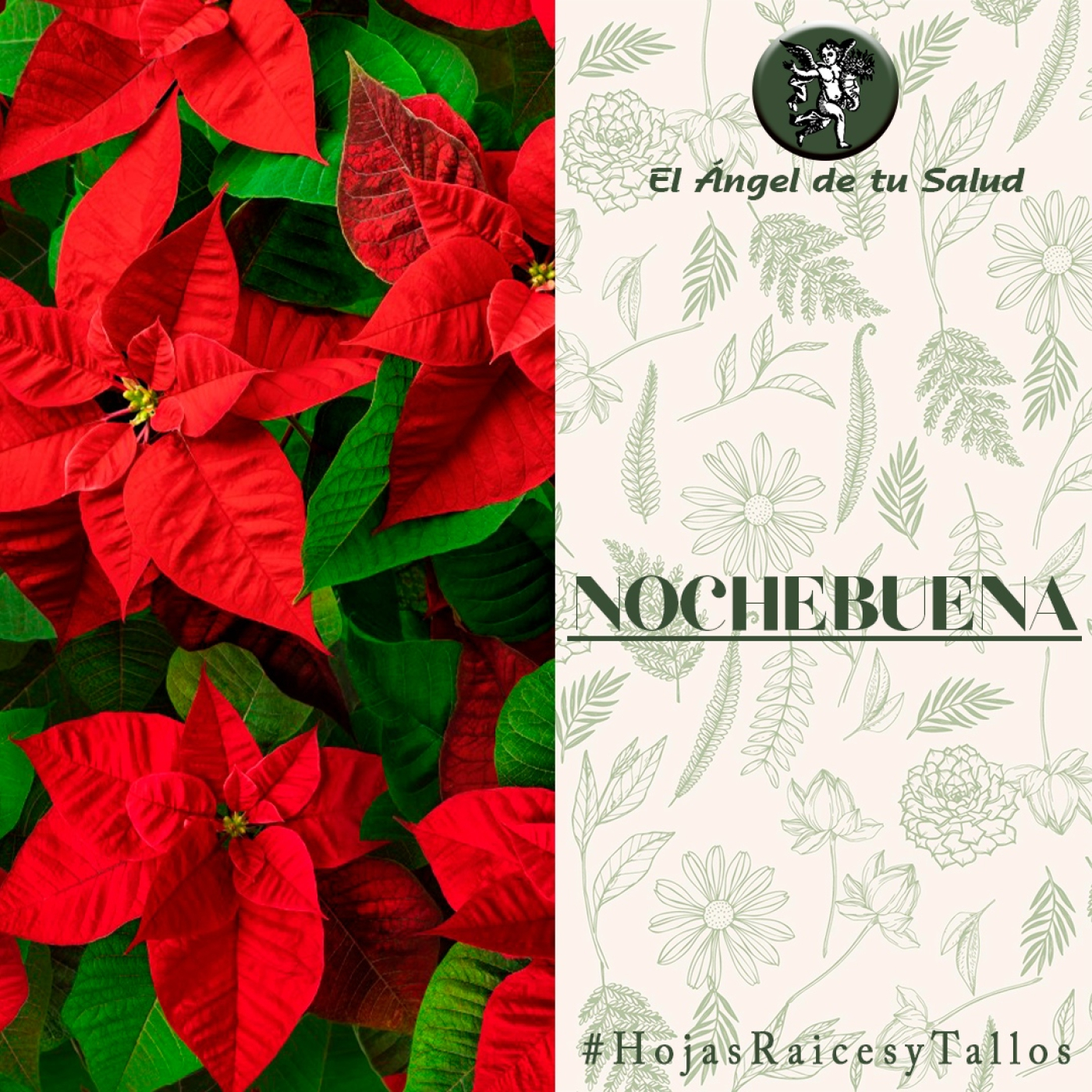 El Ángel de tu Salud - Nochebuena** episode artwork