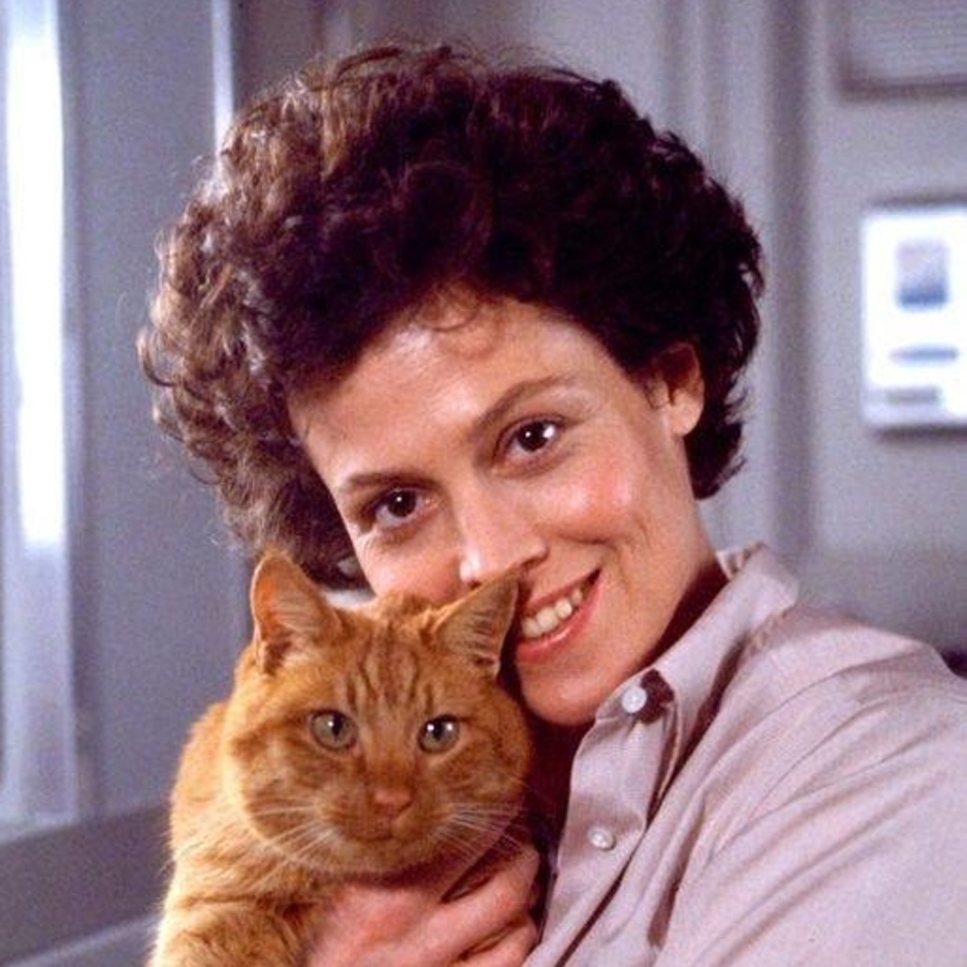 Área 51 del Corazón