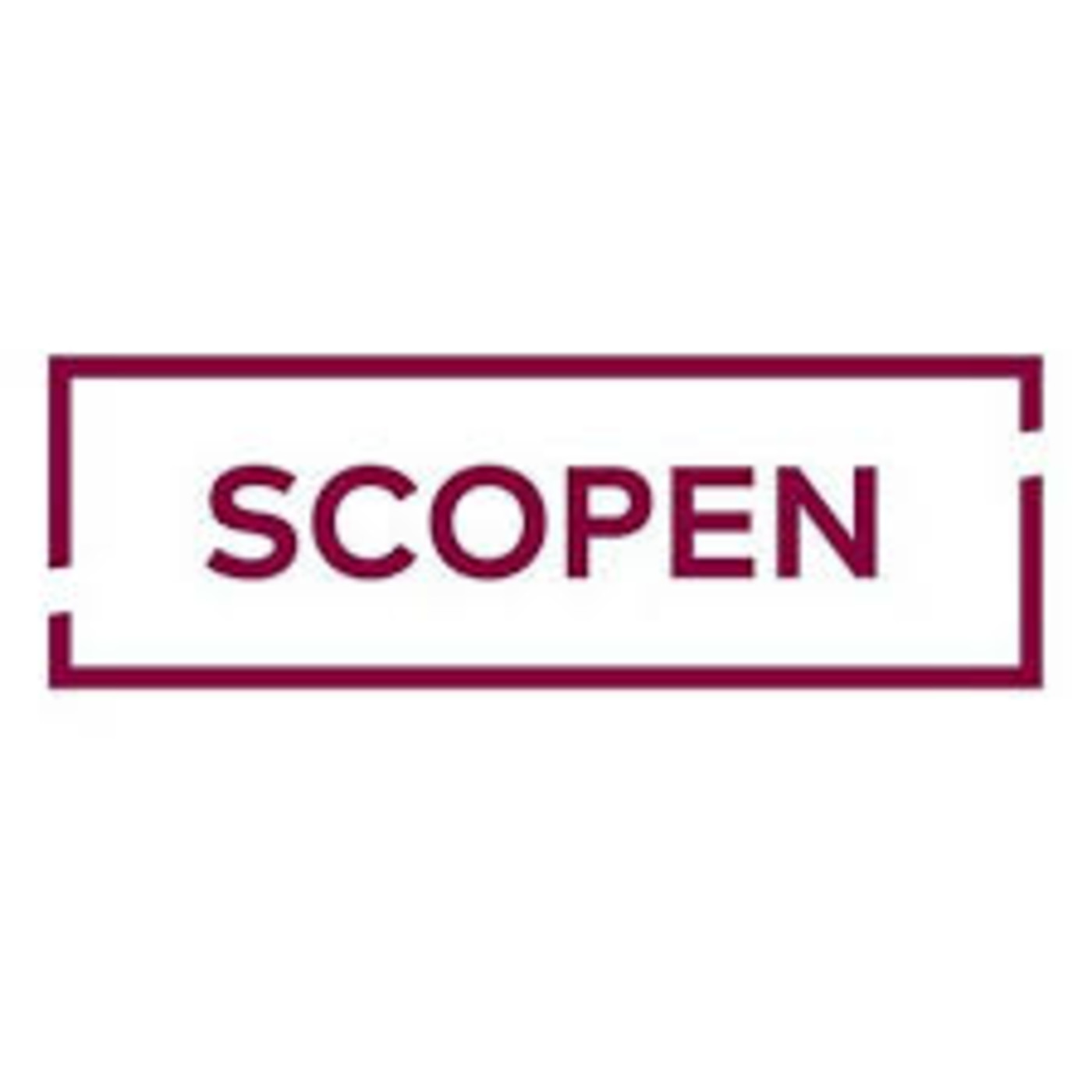 Entrevista a SCOPEN_Óscar López_31/01/19