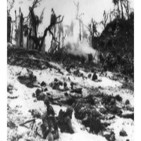 La sangrienta batalla de Peleliu.Sin vuelta atrás