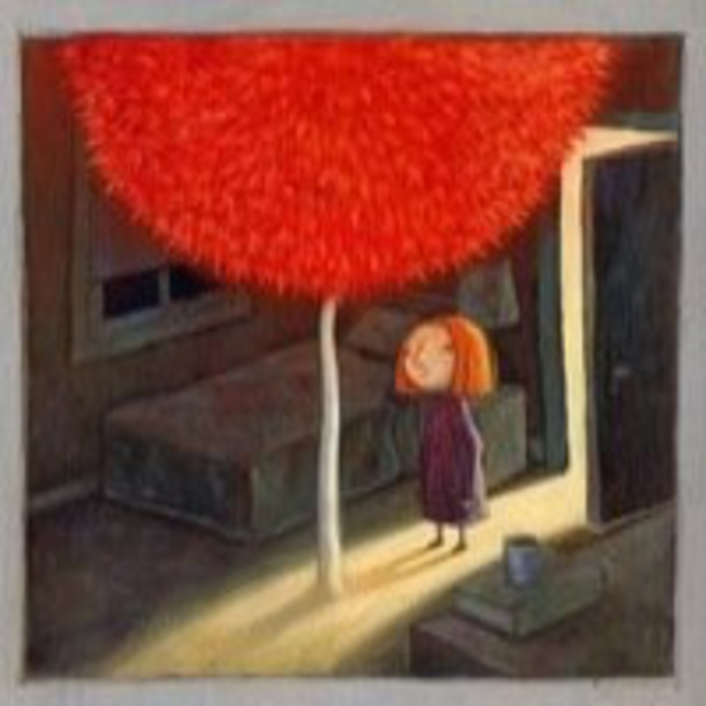 Noche de Luces y Sombras