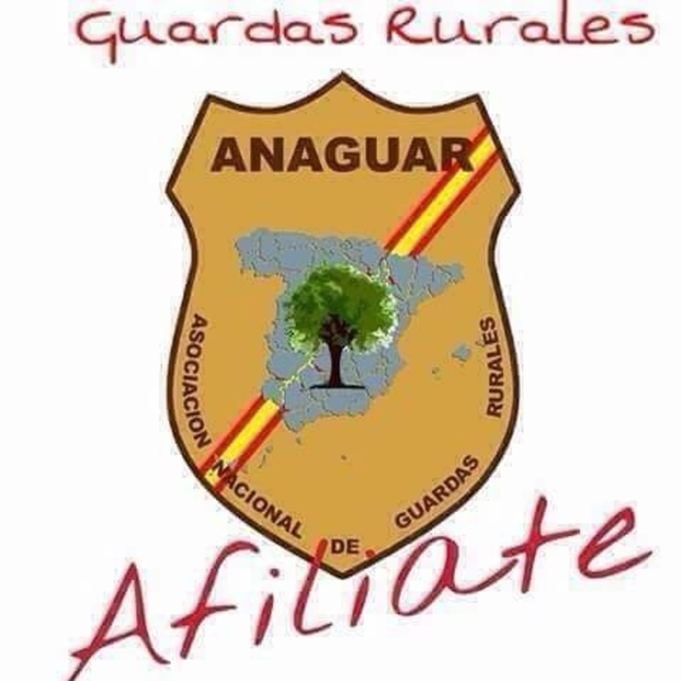 Podcast de Javier Altarejos Gallego