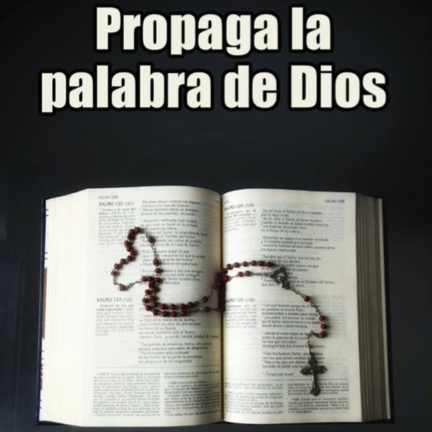 EVANGELIO DE HOY Miércoles 11 de Mayo con el Padre Marcos Galvis episode artwork