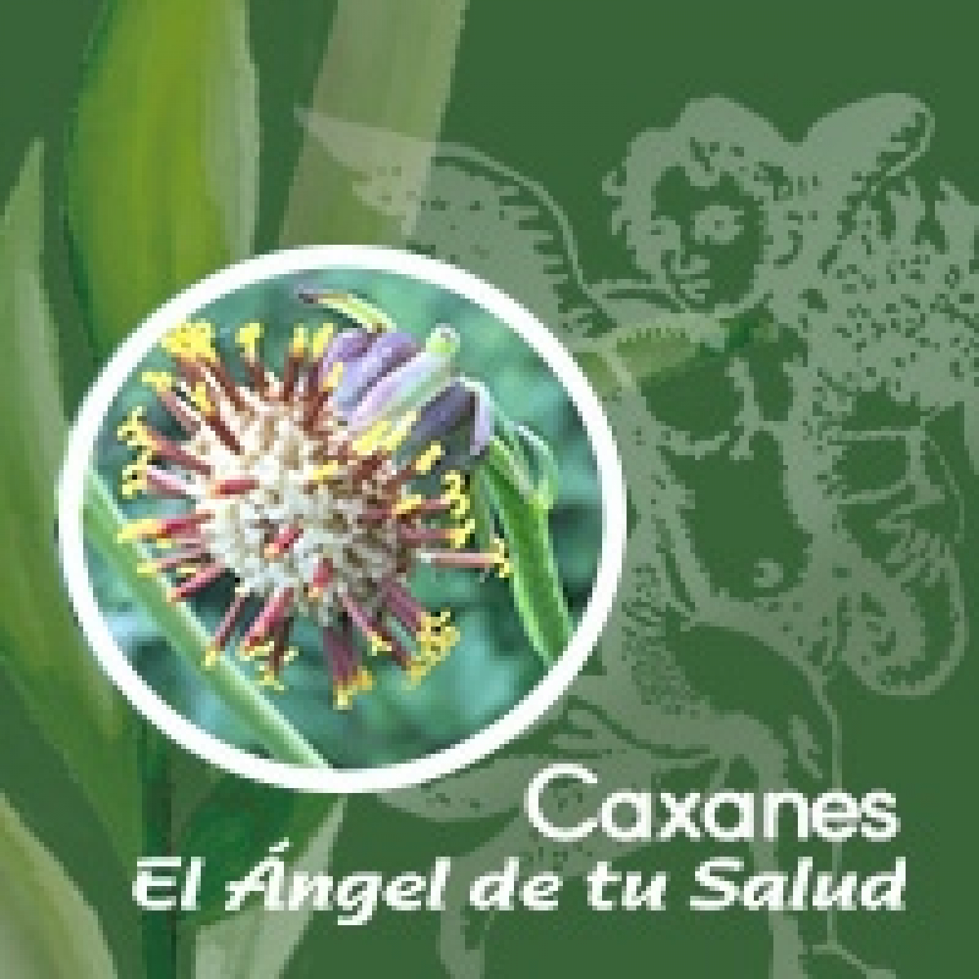 El Ángel de tu Salud - Caxanes ** episode artwork