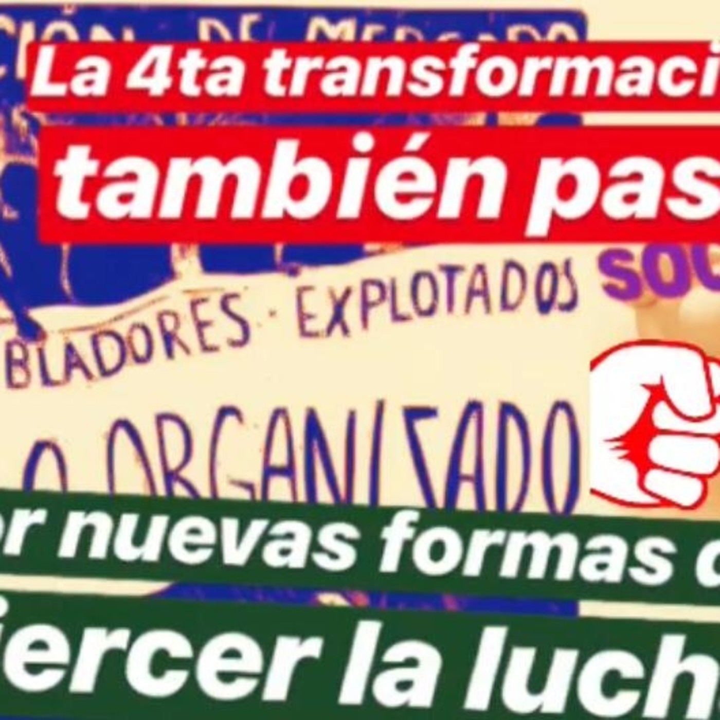 Me Canso Ganso MX