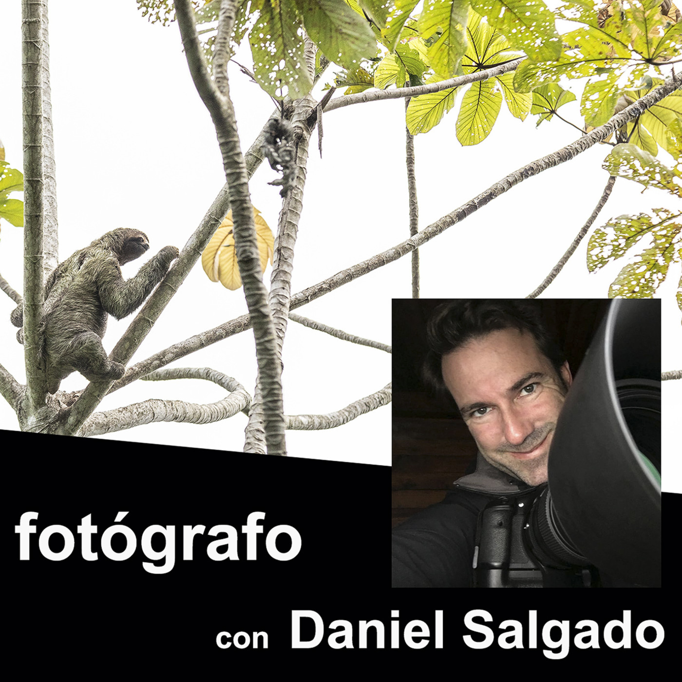 Frente al fotógrafo
