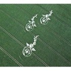 Crop Circles (Vicente Fuentes) 15/06/2012