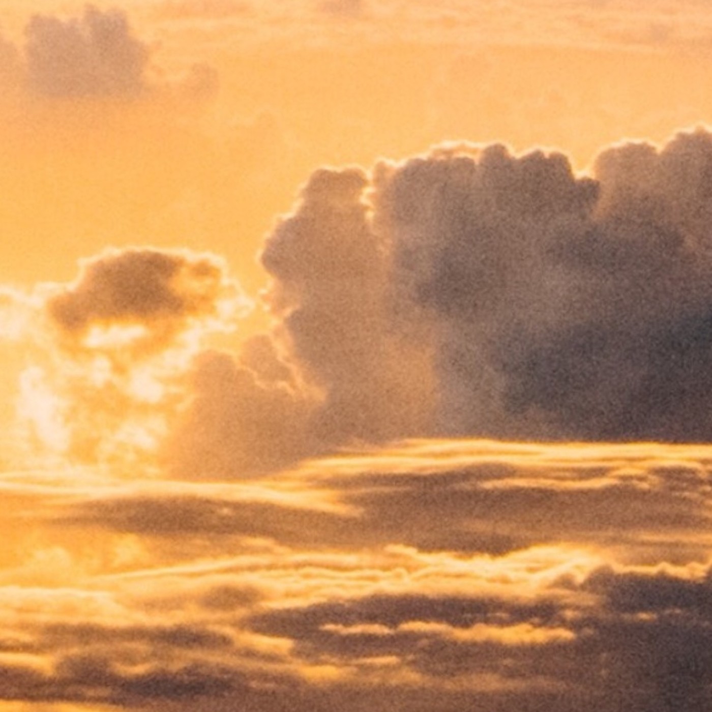 Por Que Prosperan Los Malos Por Que Prosperan Los Malos