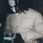 embed image