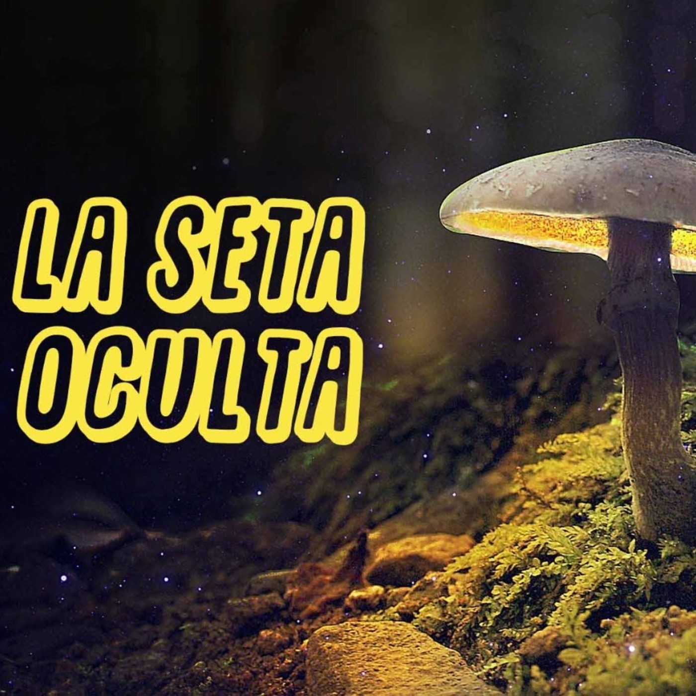 La Seta oculta