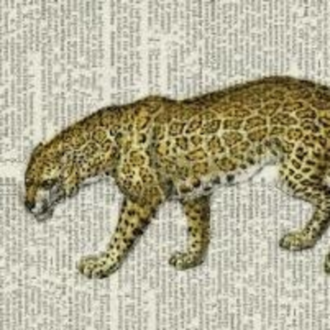 La escritura del Dios, de Jorge Luis Borges episode artwork