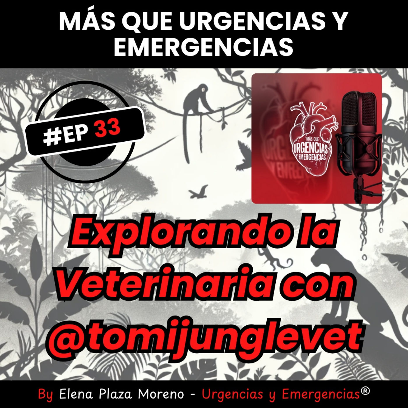 EP 33. Explorando la veterinaria con @tomijunglevet