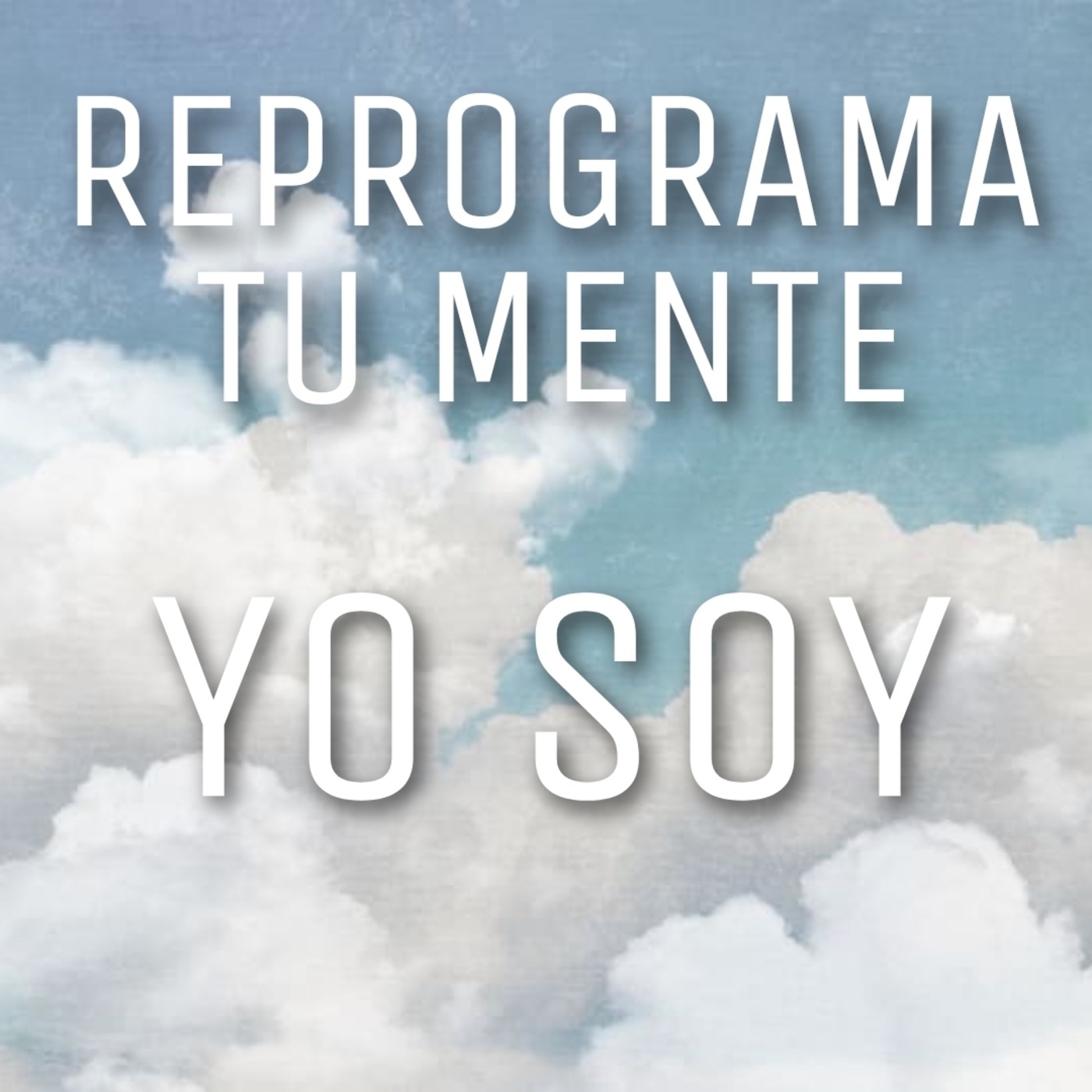 SIN LIMITE 365
