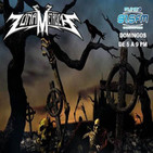 ZONA METALICA 6 - noviembre - 2016