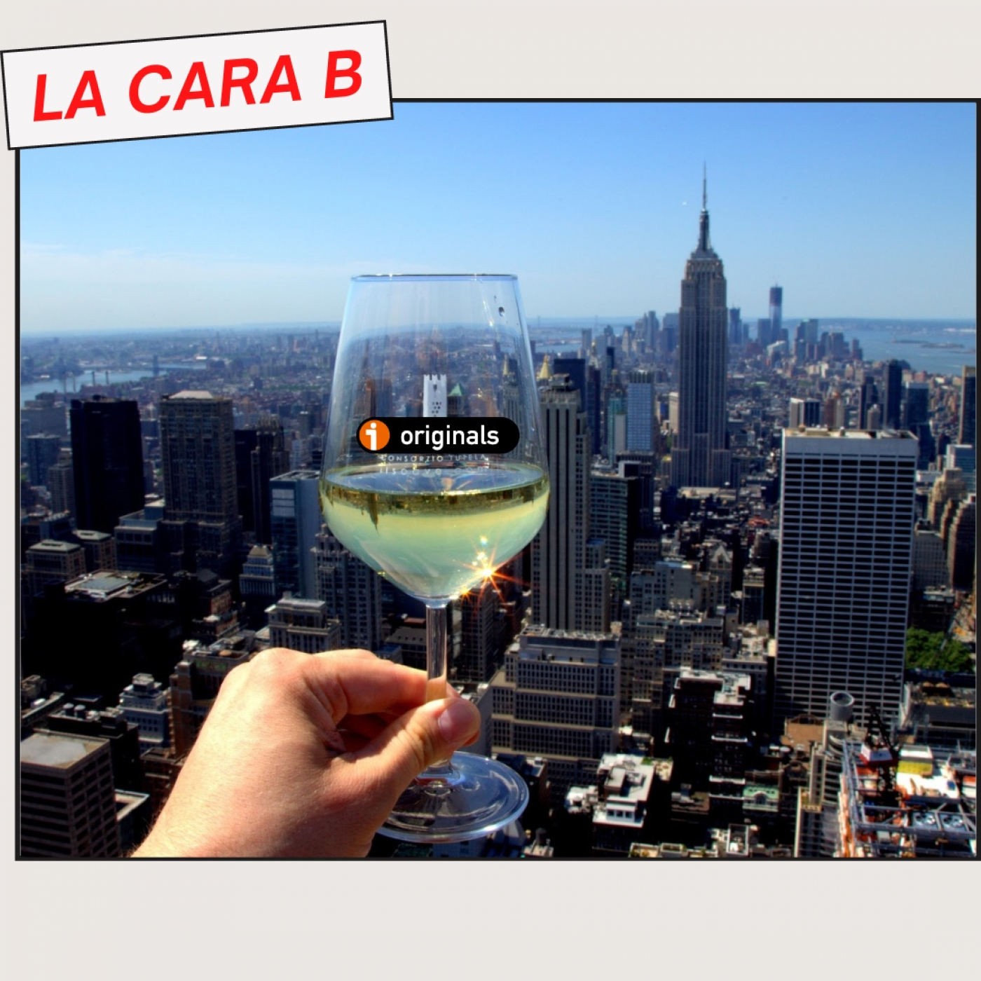 VINO PARA CAMALEONES
