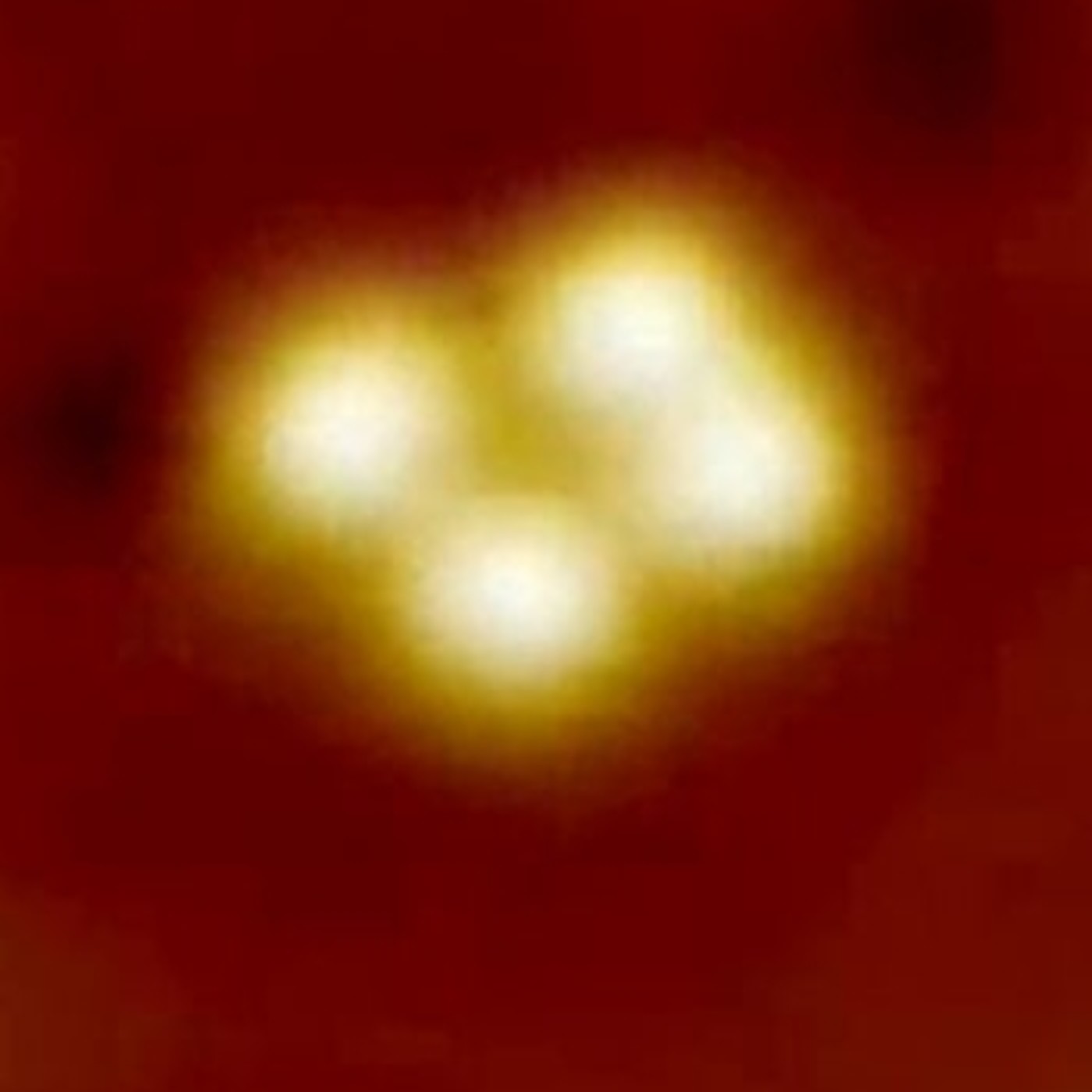 La Brújula de la Ciencia