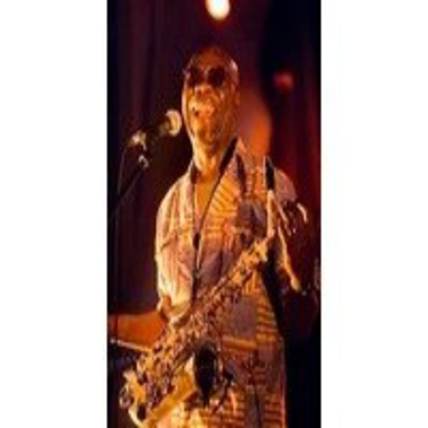 Devuélveme la voz. Contenidos