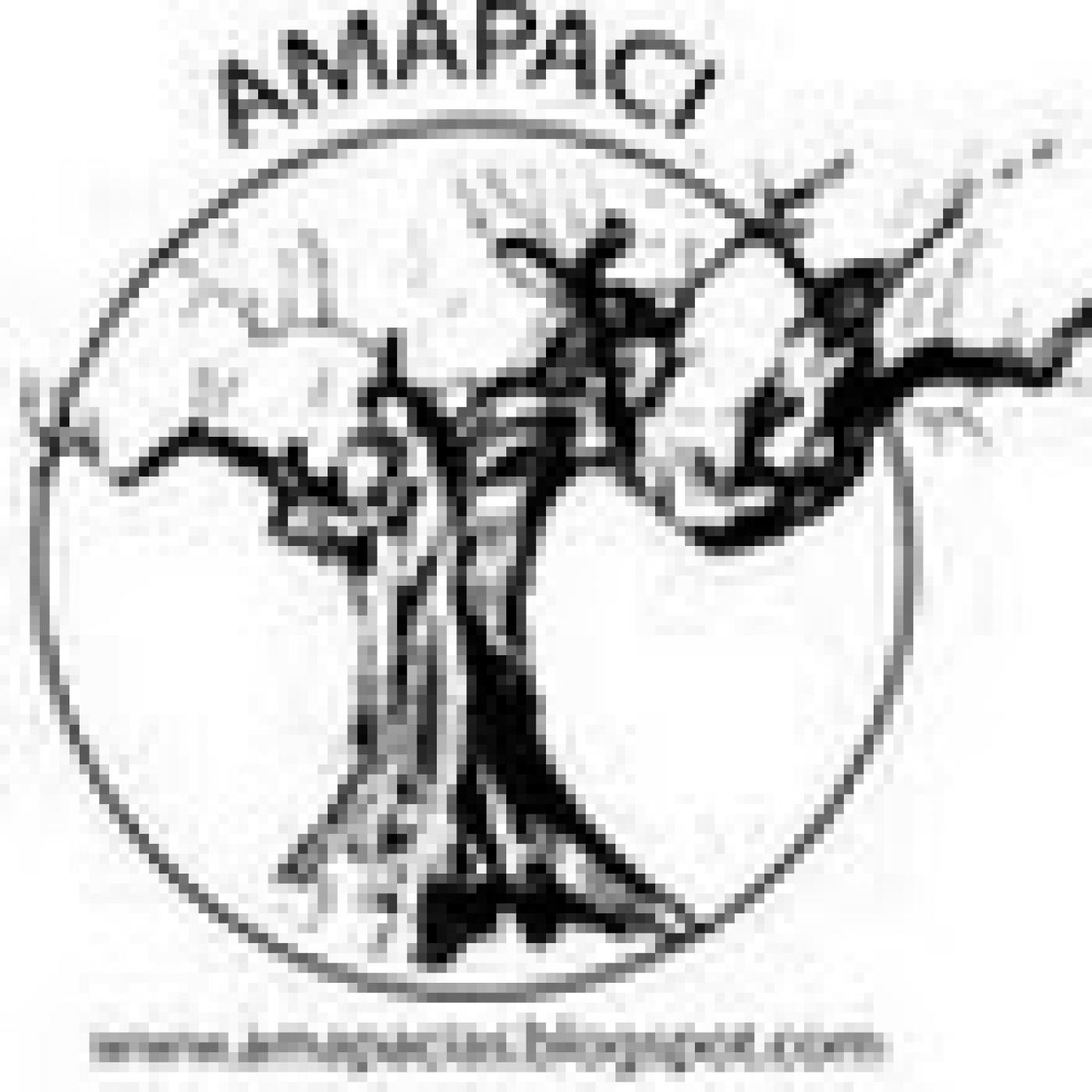 Podcast Indignados FM