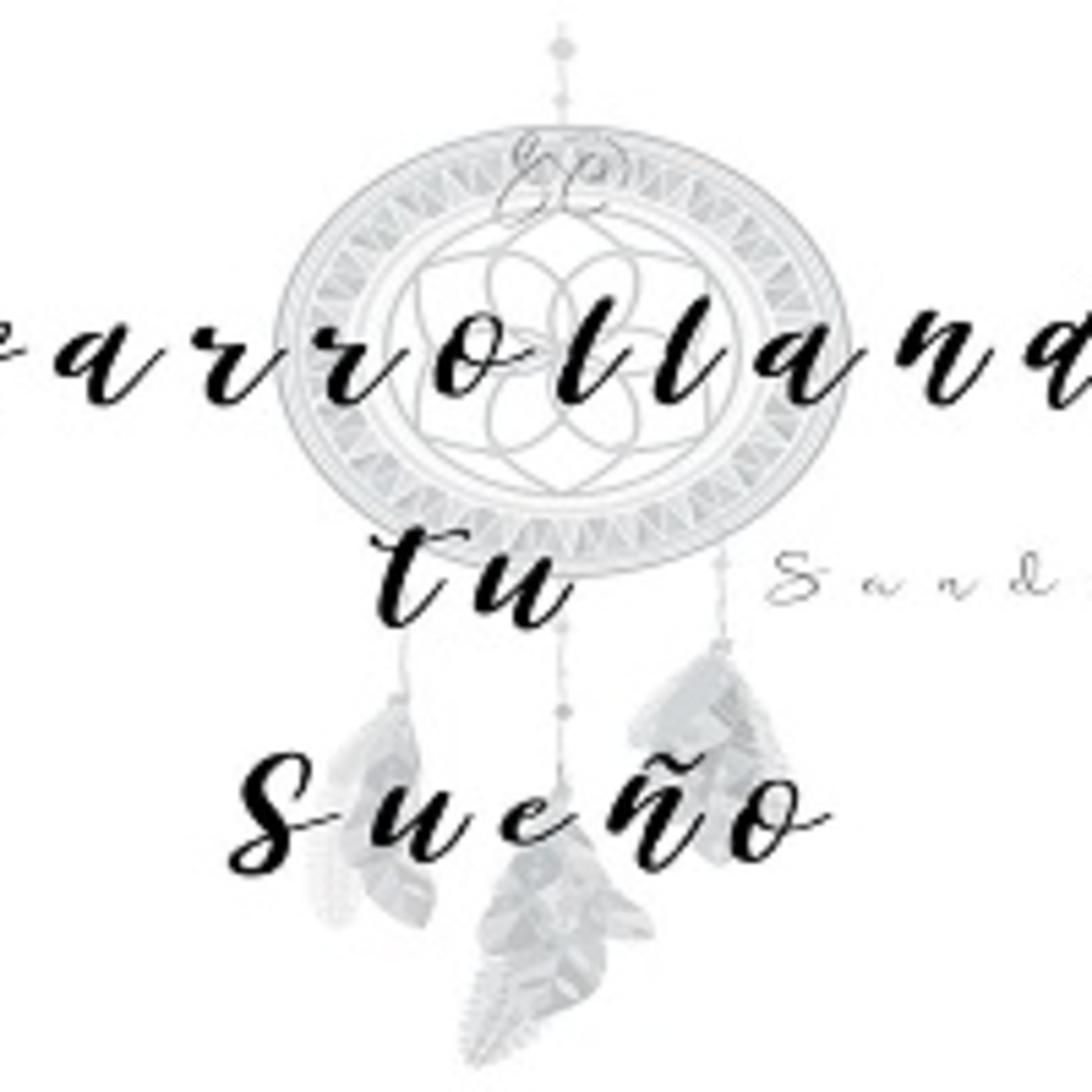 Desarrollando tu sueño. 131119 p059