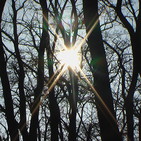 Reconocerse en la luz imposibilita la oscuridad