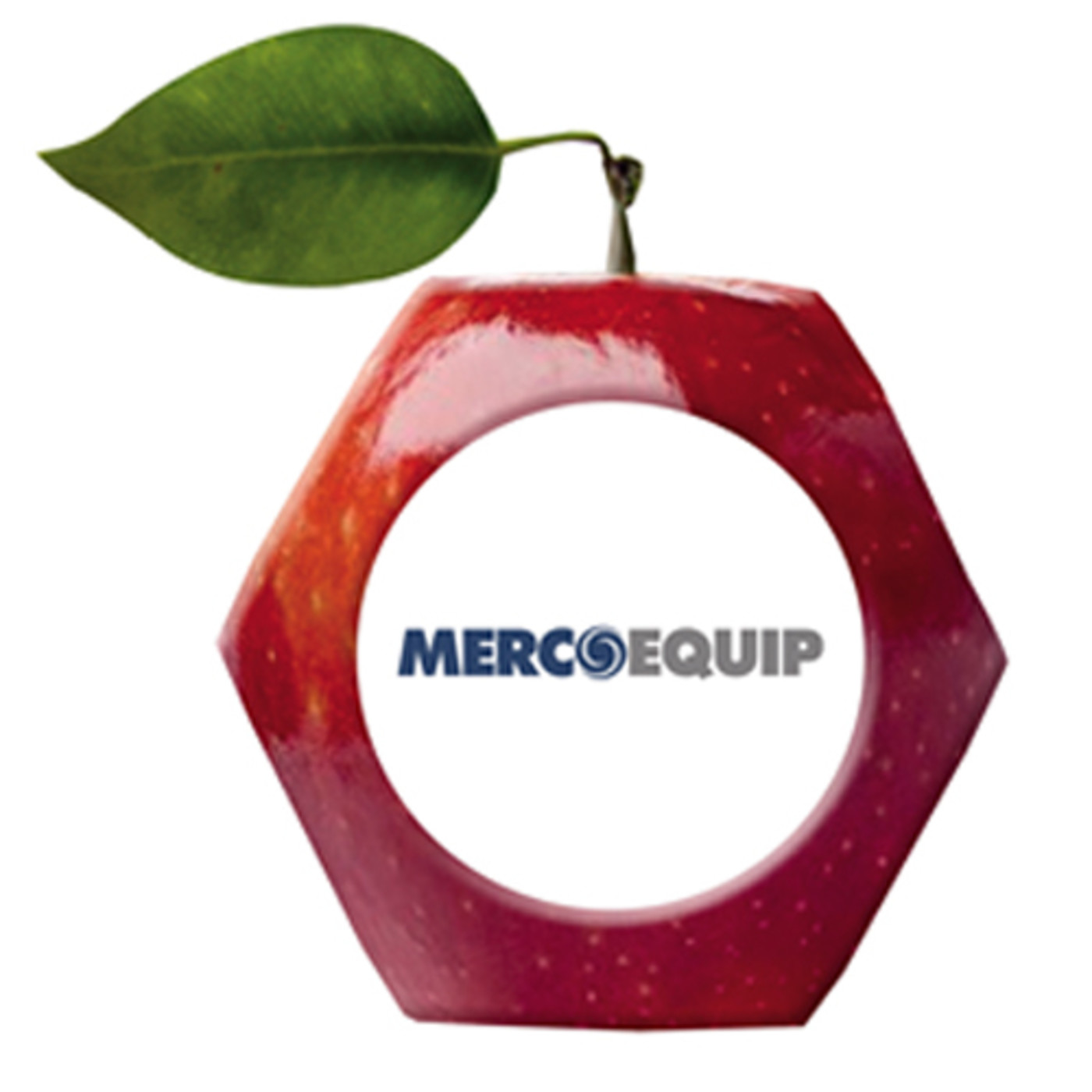 Entrevista con Ricardo Alcañiz - Feria Mercoequip episode artwork