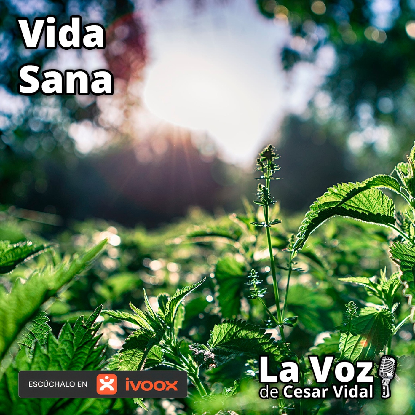 La Voz de César Vidal