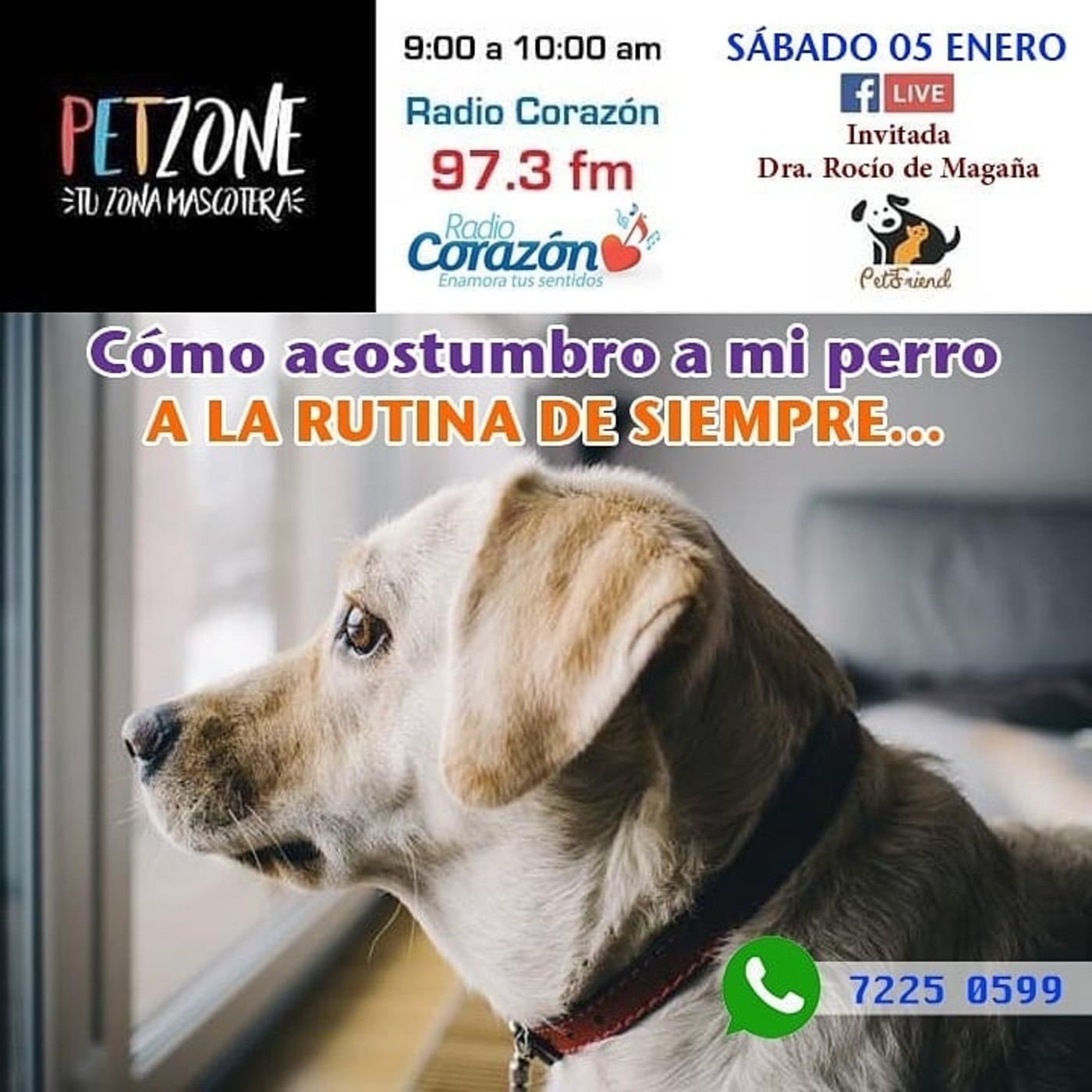 PetzoneSV
