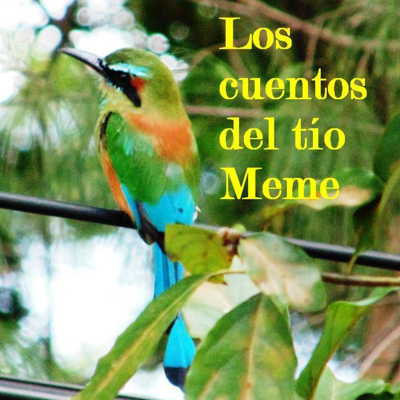LOS CUENTOS DEL TÍO MEME
