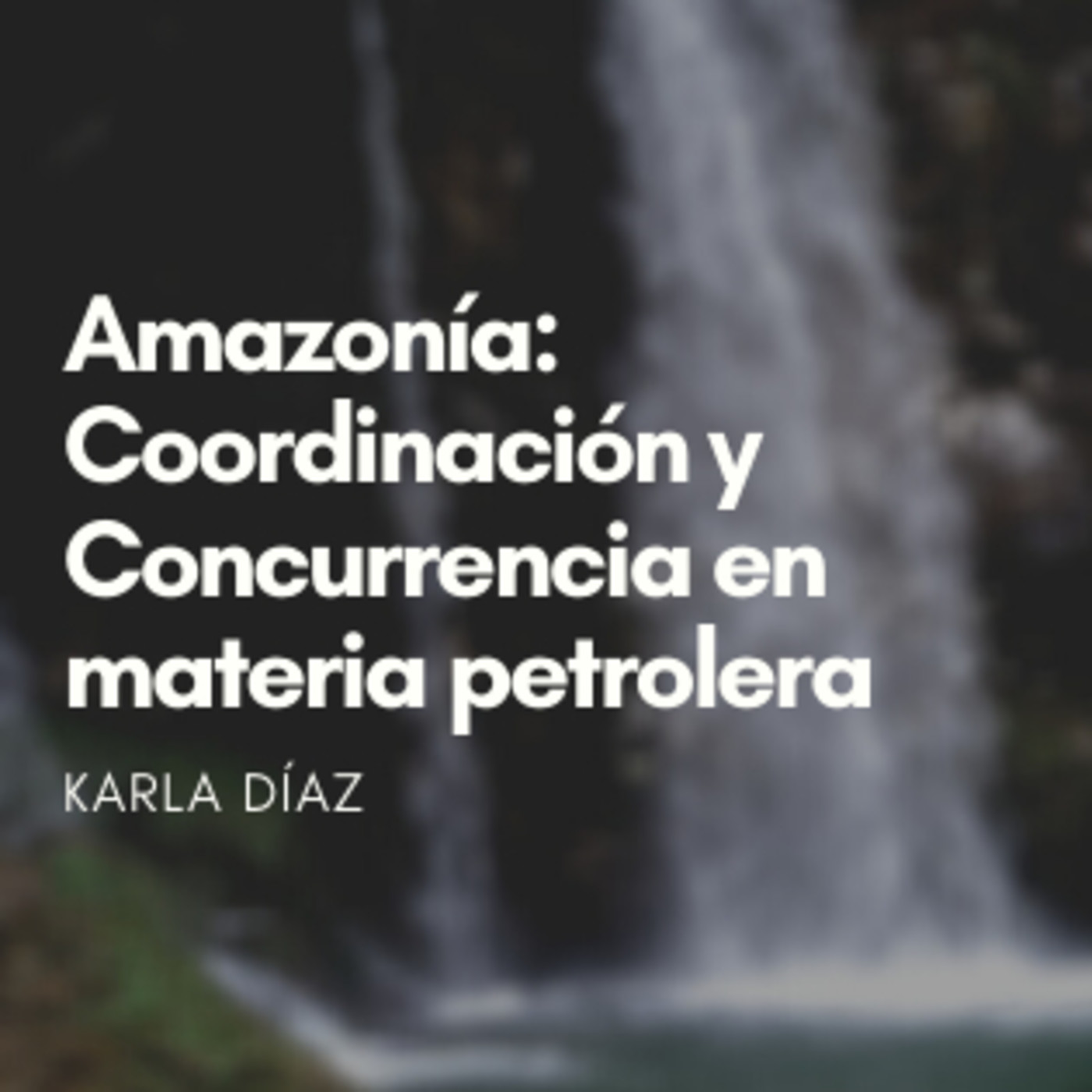 Asociación Ambiente y Sociedad
