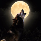 Noche de lobos (21-05-2019)