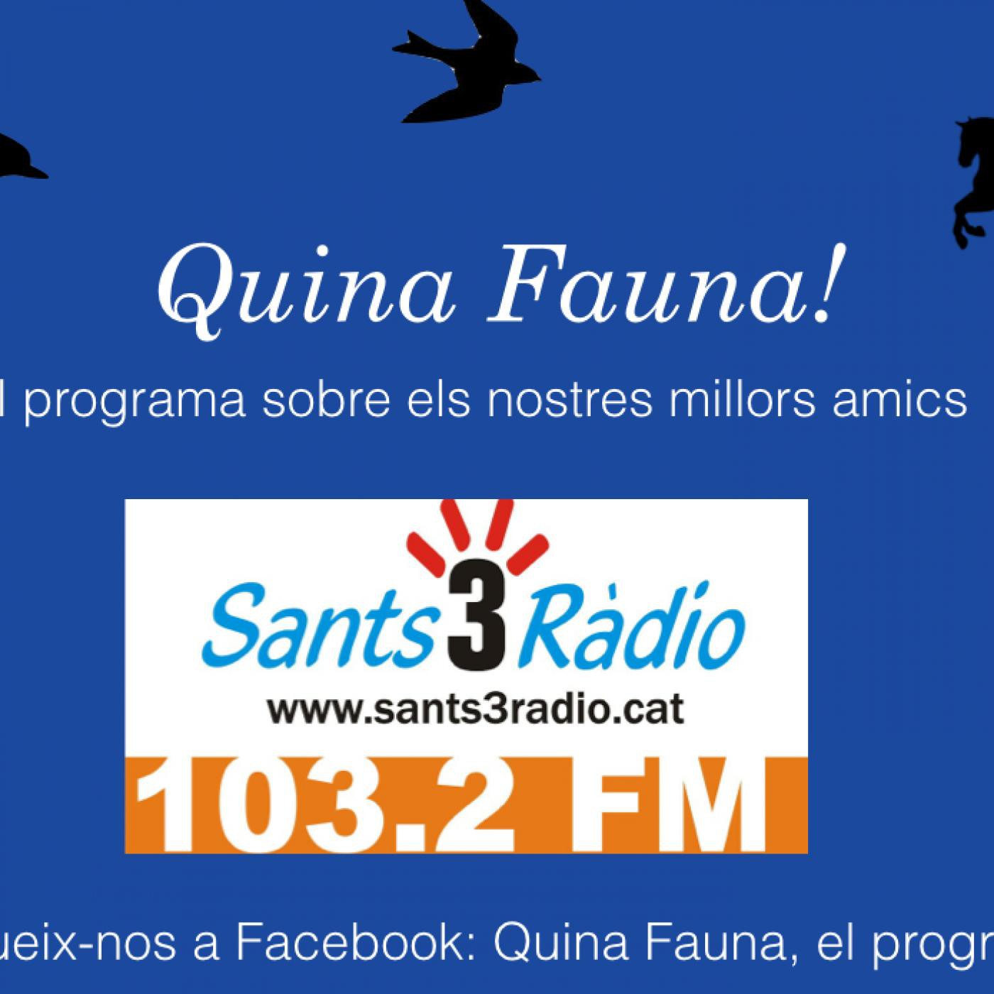 Quina Fauna