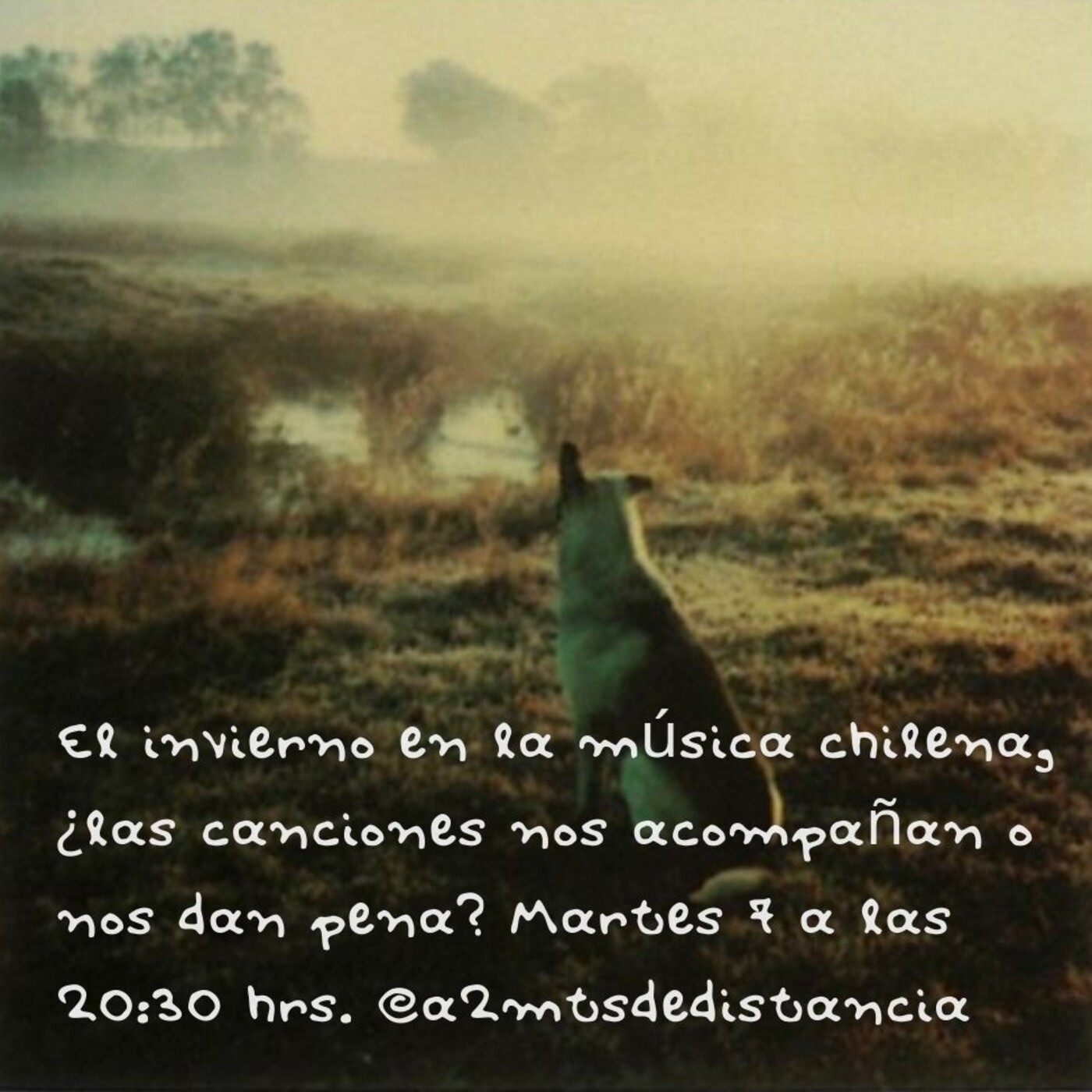 A 2 mts de Distancia